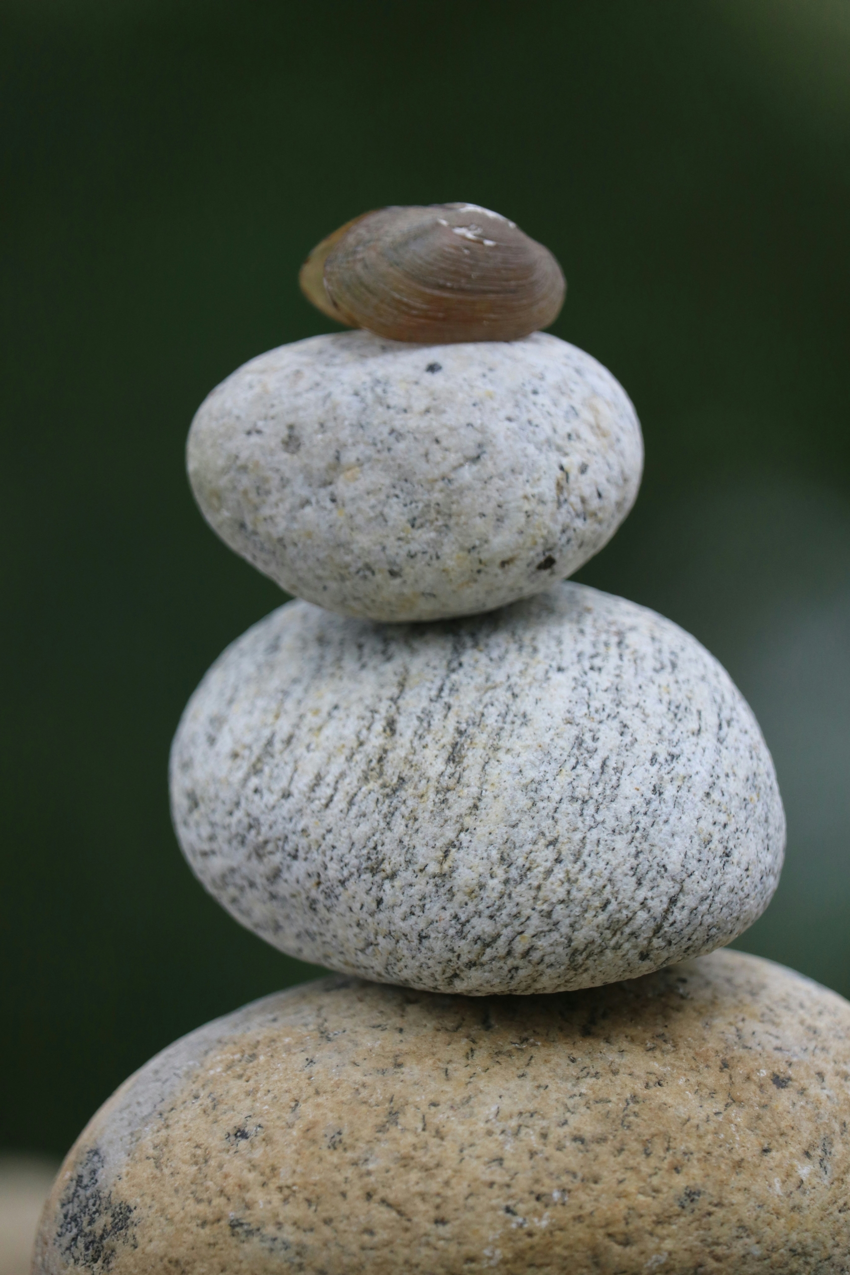 drei Steine übereinander und obenauf eine kleine Muschel